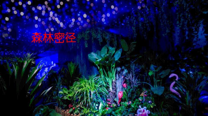 月光影视